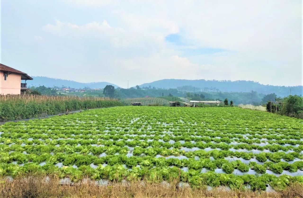 Villa Lembang Bunda Cikareumbi エクステリア 写真